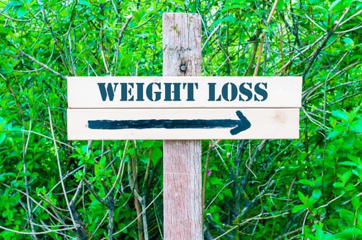 WEIGHT LOSS written on Directional wooden sign with arrow pointing to the right against green leaves background. Concept image with available copy space