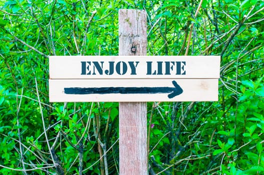 ENJOY LIFE written on Directional wooden sign with arrow pointing to the right against green leaves background. Concept image with available copy space
