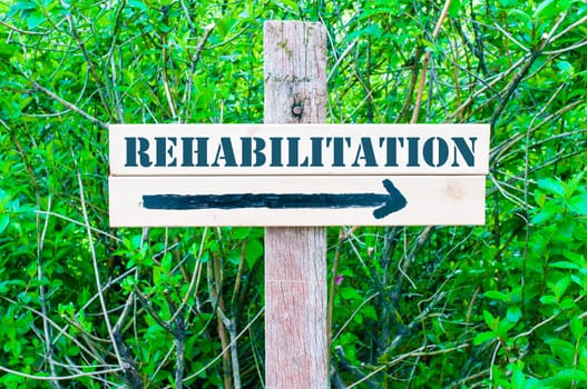 REHABILITATION  written on Directional wooden sign with arrow pointing to the right against green leaves background. Concept image with available copy space