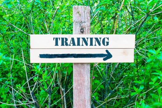 TRAINING written on Directional wooden sign with arrow pointing to the right against green leaves background. Concept image with available copy space