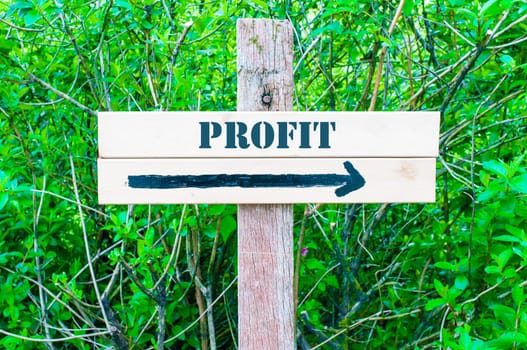 PROFIT written on Directional wooden sign with arrow pointing to the right against green leaves background. Concept image with available copy space