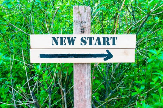 NEW START written on Directional wooden sign with arrow pointing to the right against green leaves background. Concept image with available copy space