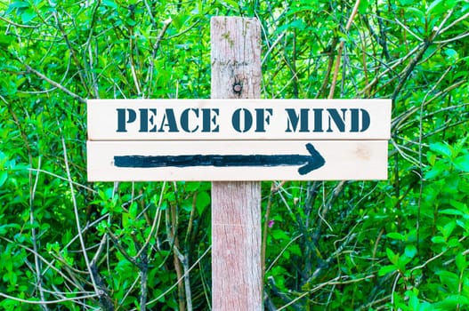 PEACE OF MIND  written on Directional wooden sign with arrow pointing to the right against green leaves background. Concept image with available copy space