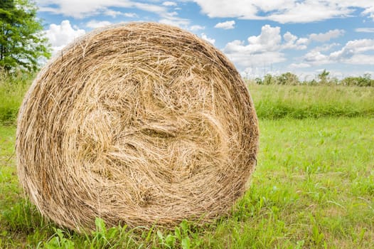 Hay bale in the field to dry in the sun.