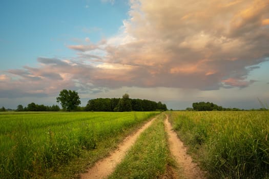 Country road between fields and clouds highlighted by sunset, Spring evening