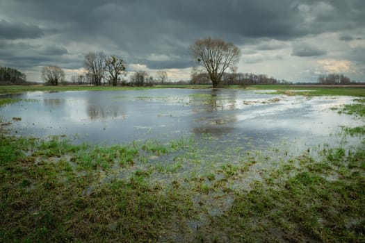 Rainfall water in the meadow and cloudy sky, spring day