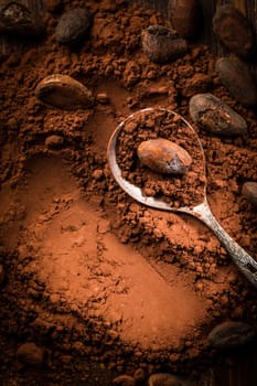 Aromatic Cocoa powder and cocoa beans in brown