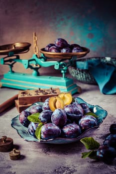 Freshly picked prune plums (Zwetschgen) fruits in bowl
