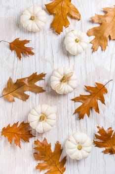 Assortment of pumpkins with autumn leaves on wooden background. Thanksgiving and Halloween concept.