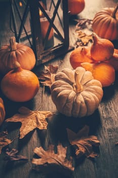 Thanksgiving and Halloween concept. Pumpkins and autumn leaves.