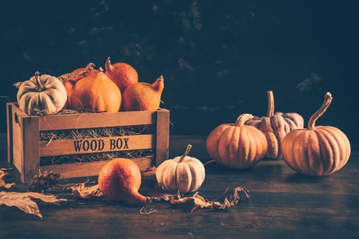 Thanksgiving and Halloween concept. Pumpkins and autumn leaves.