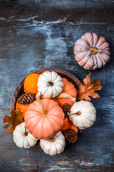 Thanksgiving and Halloween concept. Pumpkins and autumn leaves.