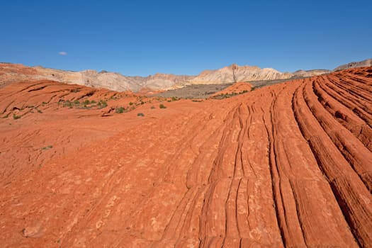 Red and White Sandstone in the the Desert in Snow Canyon State Park in Utah