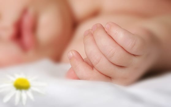 sleeping newborn baby, focus on the hand
