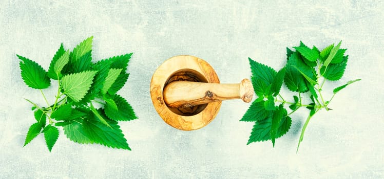 Fresh nettle bunch and wooden rustic mortar on light background. Herbal medicine.
