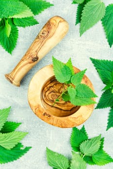 Fresh nettle bunch and wooden rustic mortar on light background. Herbal medicine.
