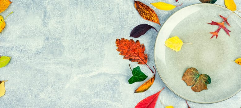 Fallen autumn leaves, herbarium. Autumn foliage on the plate. Space for text