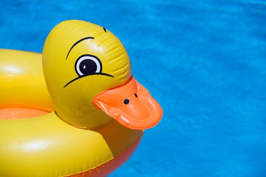plastic duck floating in a swimming pool