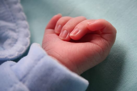 Two days baby hand close-up