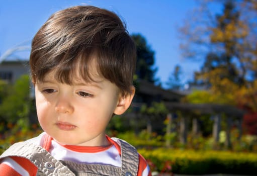 Little boy portrait over trees and blue sky - use of reflector
