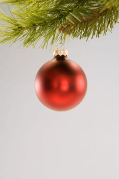 Still life of red Christmas ornament hanging from pine branch.