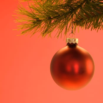 Still life of red Christmas ornament hanging from pine branch.