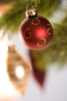 Still life of red and gold Christmas ornaments hanging from pine branch.