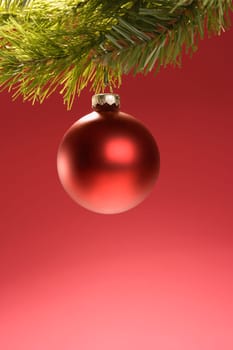 Still life of round red Christmas ornament hanging from pine branch.