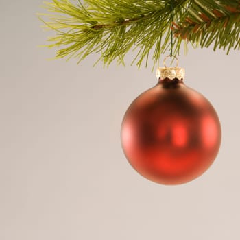 Still life of red Christmas ornament hanging from pine branch.