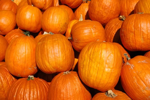 Bright orange pumpkins piled up together