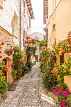 Spello, Italy - Circa June 2021: flowers in ancient street. Spello is located in Umbria region, Italy.