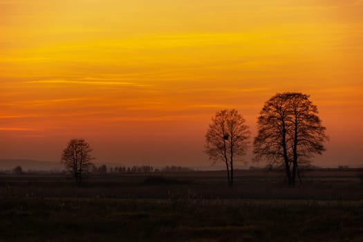 Trees on the horizon and clouds during sunset, Gotowka, Poland