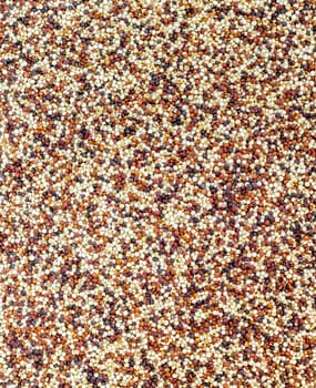 Seeds of uncooked quinoa. Healthy food. Ideal for concepts and backgrounds.