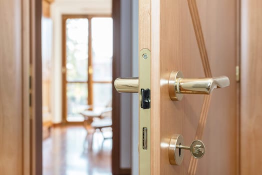 Modern door knob close-up to the livingroom, home concept new. Real Estate.