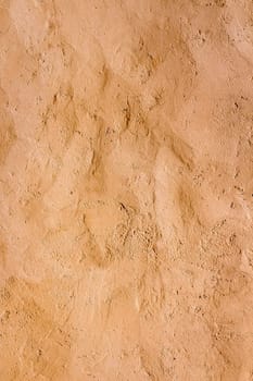 Wall decorated with Venetian plaster and rough plaster.