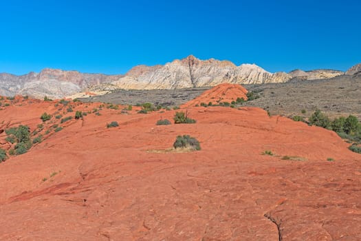 Lava Field Between the Red and White Sandstone in Snow Canyon State Park in Utah