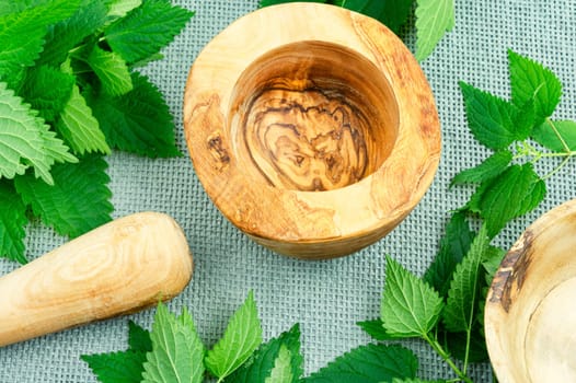 Fresh nettle bunch and wooden rustic mortar. Bush of stinging-nettles, healing herbs