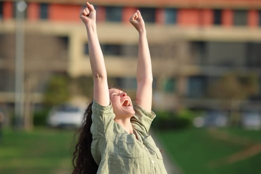 Excited woman celebrating success raising arms in a park a sunny day