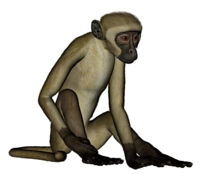 Monkey sitting isolated in white background- 3D render