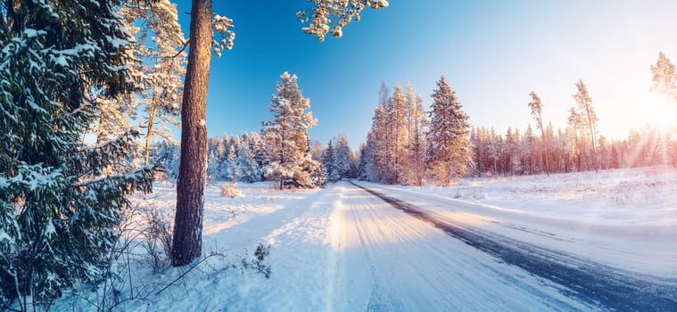 Beautiful winter road in natural sunny park. Panoramic view of the snowy street.