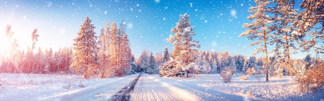Snowfall on the snowy road in the natural park in winter. Beauriful scenic background.
