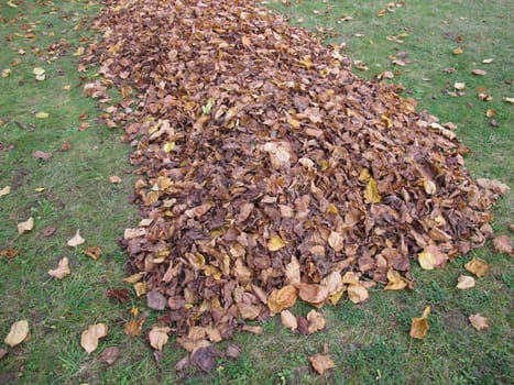 A big foliage pile on a meadow with lime leaves
