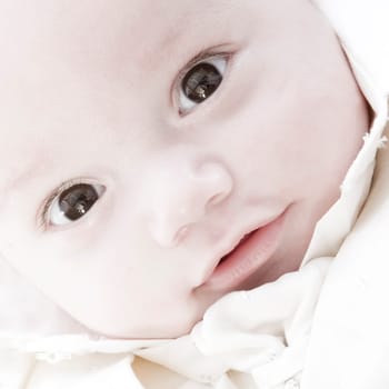 little children portraits taken in the studio on a white background