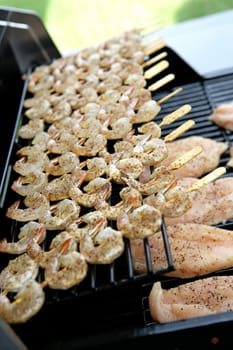 Chicken and shrimp on the backyard barbecue grill.