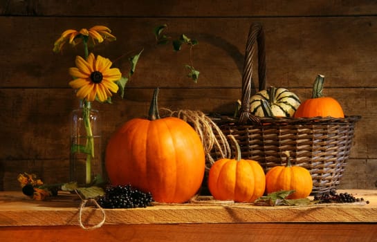 Autumn still life with pumpkins and flowers