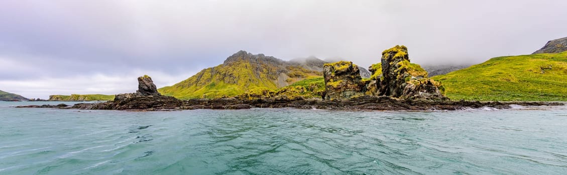 Widescreen panoramic view of South Georgia, a dreamlike island where king penguins and elephant seals say goodnight to each other
