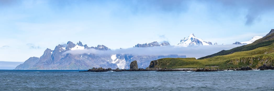Widescreen panoramic view of South Georgia, a dreamlike island where king penguins and elephant seals say goodnight to each other