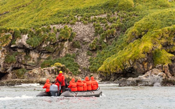 A Zodiac / inflatable boat with Antarctic tourists in red parkas observes penguins on the coast of South Georgia
