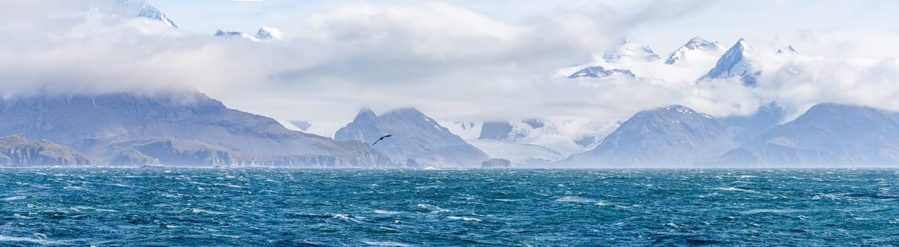 Widescreen panoramic view of South Georgia, a dreamlike island where king penguins and elephant seals say goodnight to each other