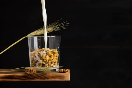 Milk flowing into a cereal granola in a transparent glass with rye spike and walnuts on a shelf on a black background. Copy space.